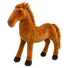 c765ac5fa25698b9176cbfaf65b4cc00